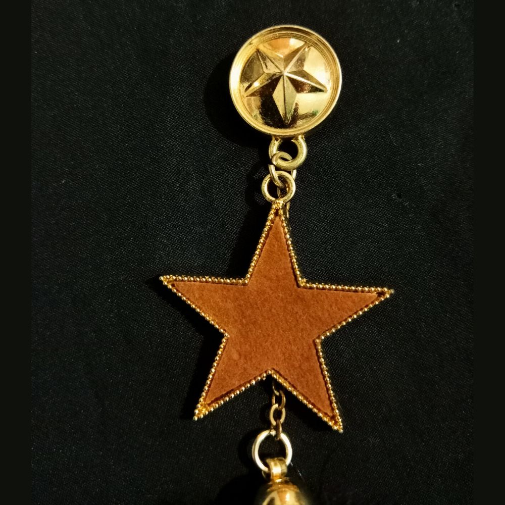 golden-star-with-feather-designer-brooch