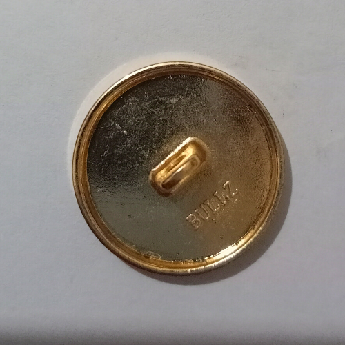 golden-blue-unique-design-buttons