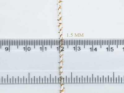 creamgolden15mmmetalliccottonzarithread