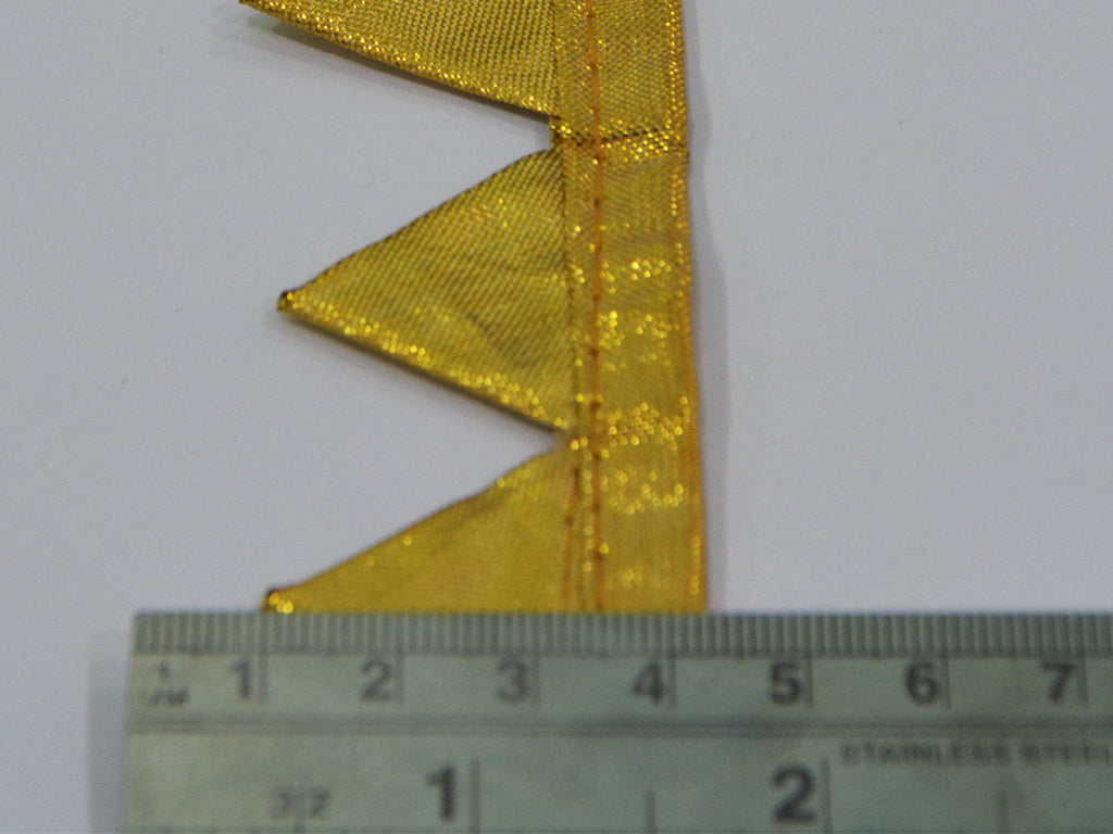 golden-triangle-fancy-gota-border