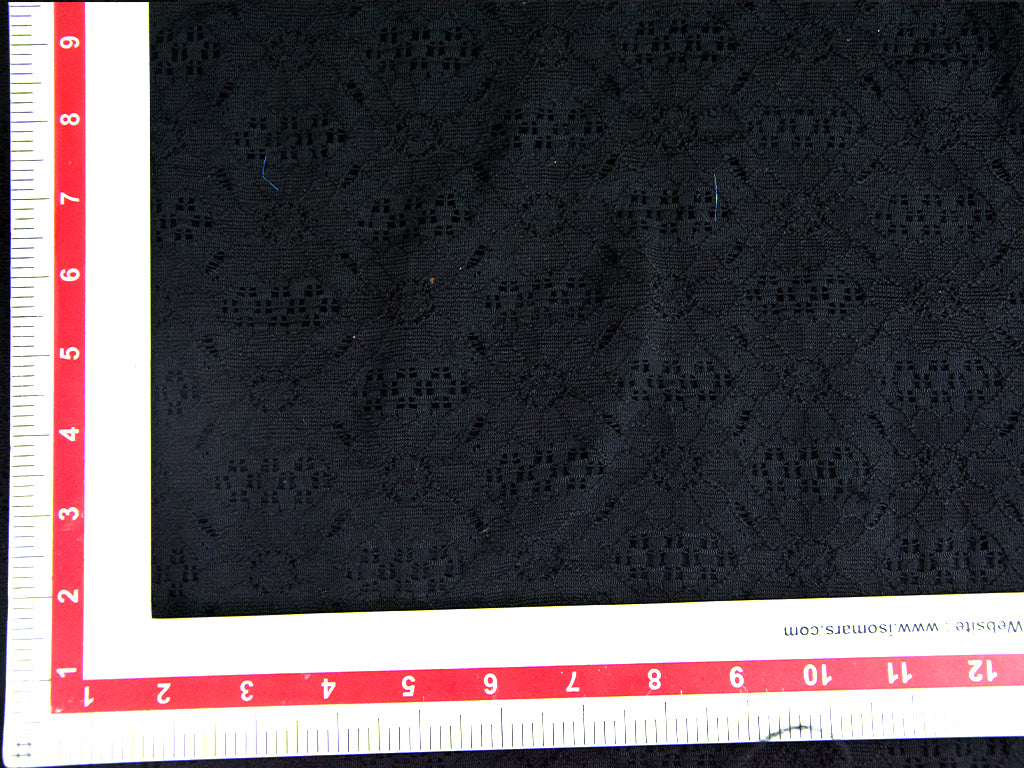 black-embroidered-schiffli-nylon-net-fabric-1