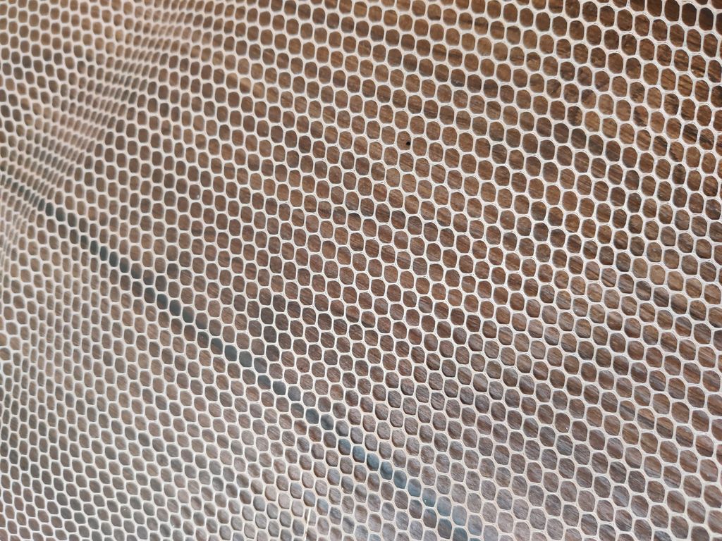 beige-can-can
