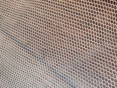 beige-can-can