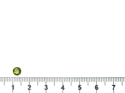 bright-green-round-circular-plastic-sequins