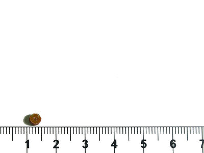 brown-lustre-circular-plastic-sequins