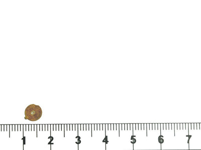 brown-rainbow-circular-plastic-sequins
