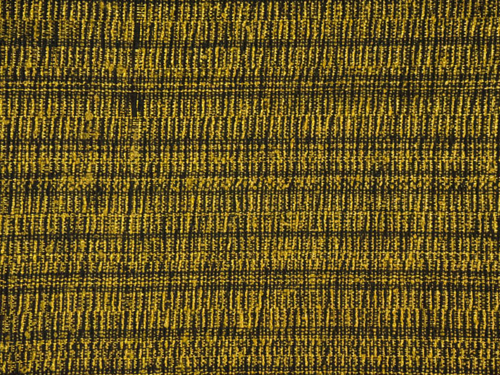golden-black-lurex-textured-cotton-jacquard-fabric