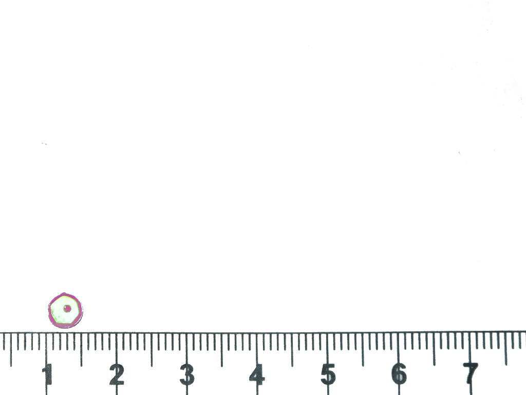 light-pink-round-circular-plastic-sequins