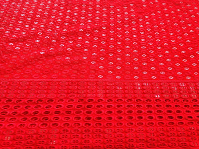 red-chikankari-rayon-fabric-with-sequins-one-sided-schiffli-border