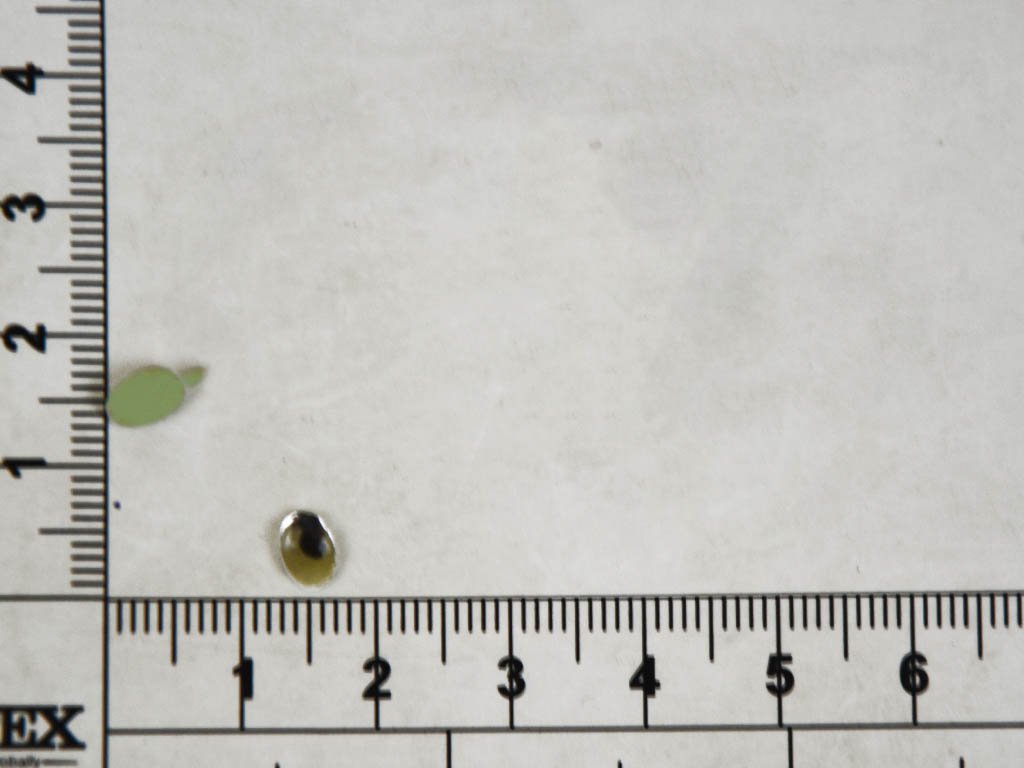 transparent-oval-glass-stone