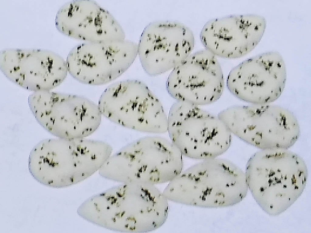 white-black-dots-drop-2-hole-plastic-stones-25x18-mm