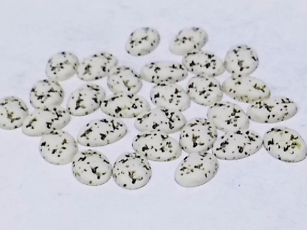 white-black-dots-oval-2-hole-plastic-stones-14x10-mm
