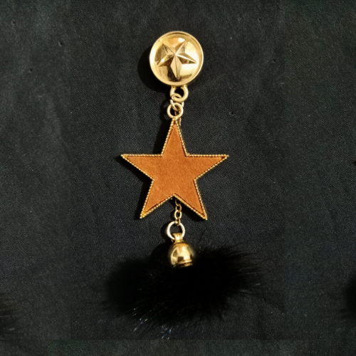 golden-star-with-feather-designer-brooch